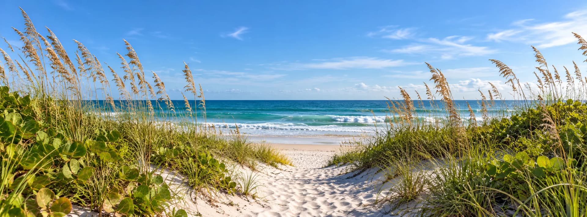 Editorial illustration of the Atlantic beach at Round Island Oceanside Park